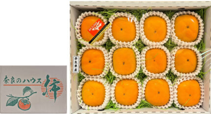House Early Grown Persimmon | Nara Prefecture | Premium Akashu Grade