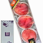 Kasugai "Natsuko" Peach | Yamanashi Prefecture | 3 Pcs