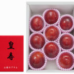 Kouju Plum "World Top Premium Plum" | Yamanashi Prefecture | 7 Pcs