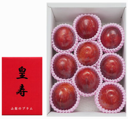 Kouju Plum "World Top Premium Plum" | Yamanashi Prefecture | 7 Pcs