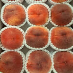 Natsuko "Shingen Momo" | Yamanashi Prefecture | 12pcs