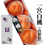 Natsuko "Shingen Momo" | Yamanashi Prefecture | 4L