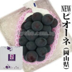 Pione Grapes | Akashu Premium Grade | Okayama Prefecture | 620g