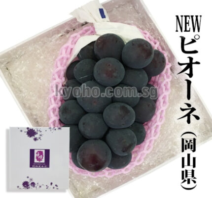 Pione Grapes | Akashu Premium Grade | Okayama Prefecture | 620g