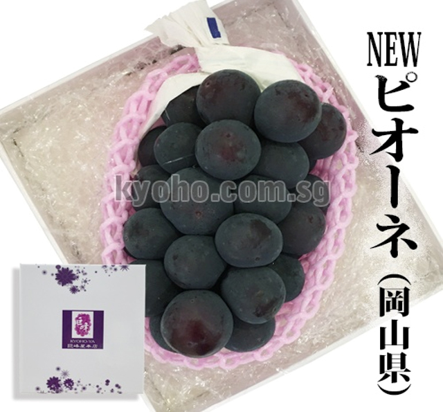 Pione Grapes | Akashu Premium Grade | Okayama Prefecture | 620g