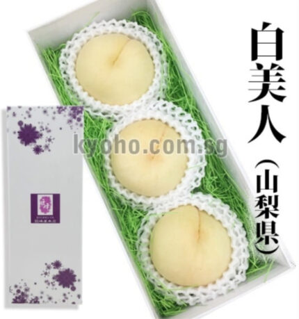 Shiro Bijin Hakutou | Yamanashi Prefecture | 3L