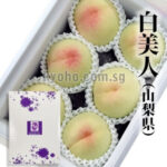 Shiro Bijin Hakutou | Yamanashi Prefecture | 3L