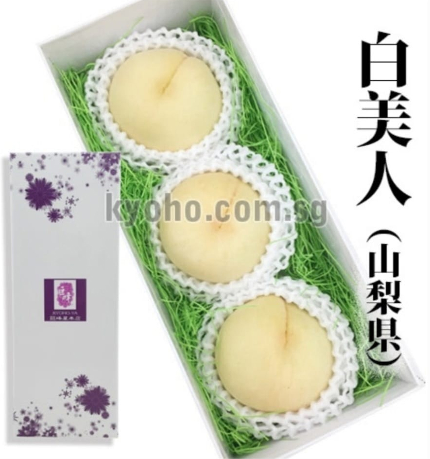 Shiro Bijin Hakutou | Yamanashi Prefecture | 3L
