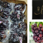 Black Shine Muscat "Fuji No Kagayaki" | Okayama Prefecture | 710g