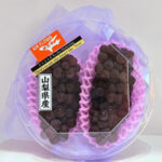 Delaware Grapes | Yamagata Prefecture | 2 Bunches