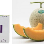 Furano Melon (Red Flesh) | Hokkaido Prefecture