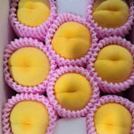 Golden Peach | Yamanashi Prefecture | 8 Pcs