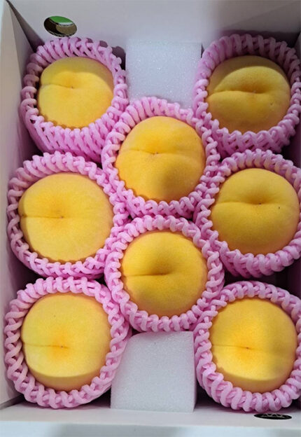 Golden Peach | Yamanashi Prefecture | 8 Pcs