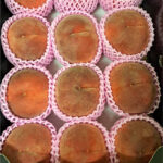 Ichiminomiya Black Premium Peaches | Variety: Hikawa Hakuhoh | Yamanashi Prefecture | 5L Size 12 Pcs