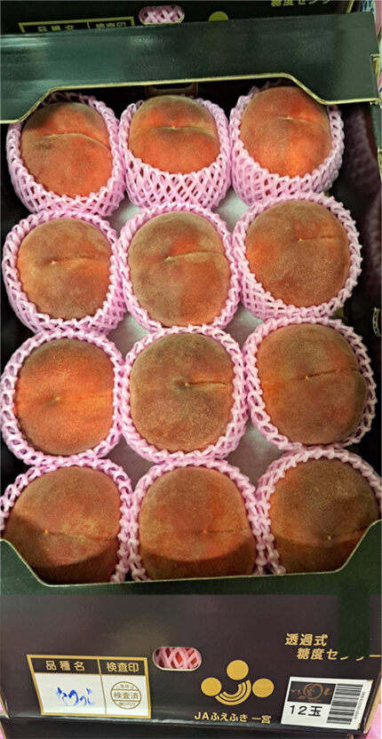 Ichiminomiya Black Premium Peaches | Variety: Hikawa Hakuhoh | Yamanashi Prefecture | 5L Size 12 Pcs