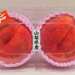 Ichitosho (Yatsushiro) - (Hikawa Variety) | Yamanashi Prefecture | 4L Size 2 Pcs