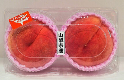 Ichitosho (Yatsushiro) - (Hikawa Variety) | Yamanashi Prefecture | 4L Size 2 Pcs