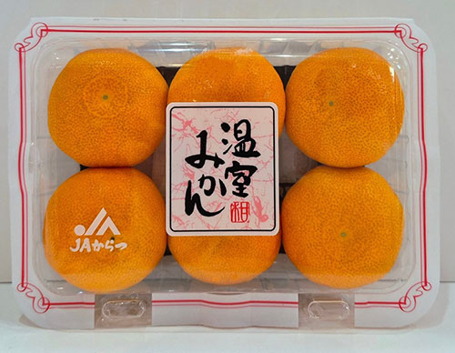 Karatsu Mikan | Saga Prefecture | Pack