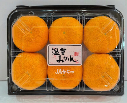 Karatsu Mikan | Saga Prefecture | Pack