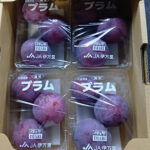 Kiyo Plum (Top Premium) | Shu Grade | Saga Prefecture | 3 Pcs