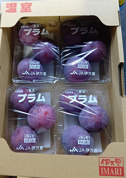 Kiyo Plum (Top Premium) | Shu Grade | Saga Prefecture | 3 Pcs