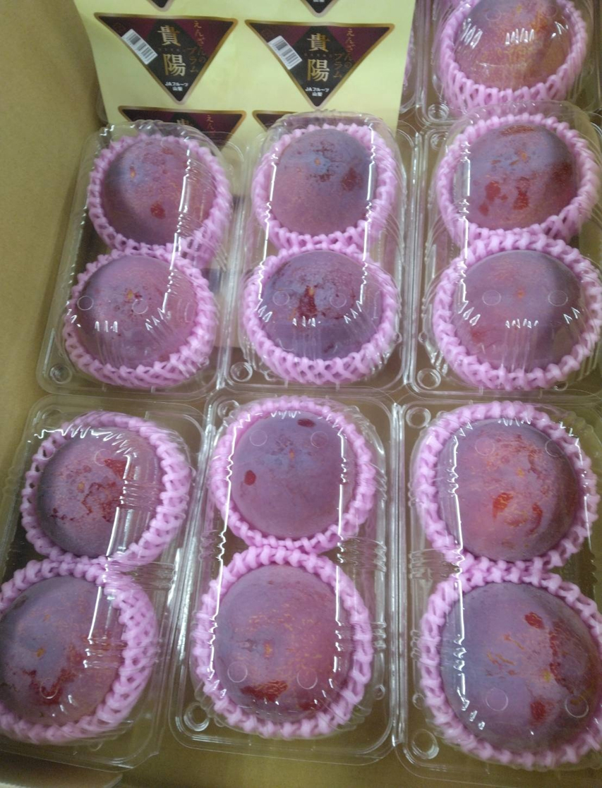 Kiyou Plum (Top Premium Quality) | Yamanashi Prefecture | L Size