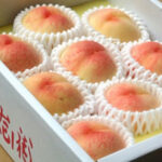 Koi Merai Peaches | Okayama Prefecture | 8 Pcs