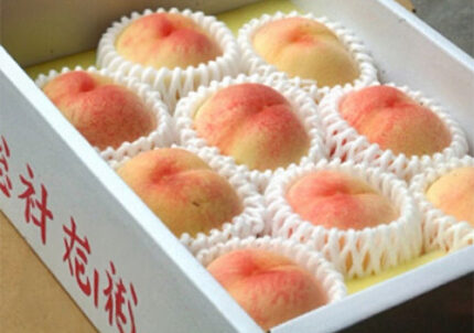 Koi Merai Peaches | Okayama Prefecture | 8 Pcs