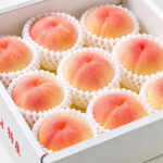 Koi Merai Peaches | Okayama Prefecture | 9 Pcs
