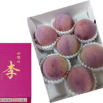 Kouju Plum "World Top Premium Plum" | Yamanashi Prefecture | 6 Pcs