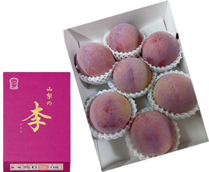 Kouju Plum "World Top Premium Plum" | Yamanashi Prefecture | 6 Pcs