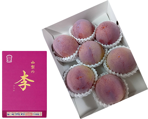 Kouju Plum "World Top Premium Plum" | Yamanashi Prefecture | 7 Pcs