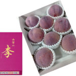 Kouju Plum "World Top Premium Plum" | Yamanashi Prefecture | 8 Pcs