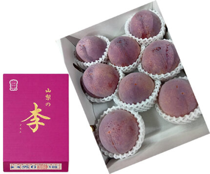 Kouju Plum "World Top Premium Plum" | Yamanashi Prefecture | 8 Pcs