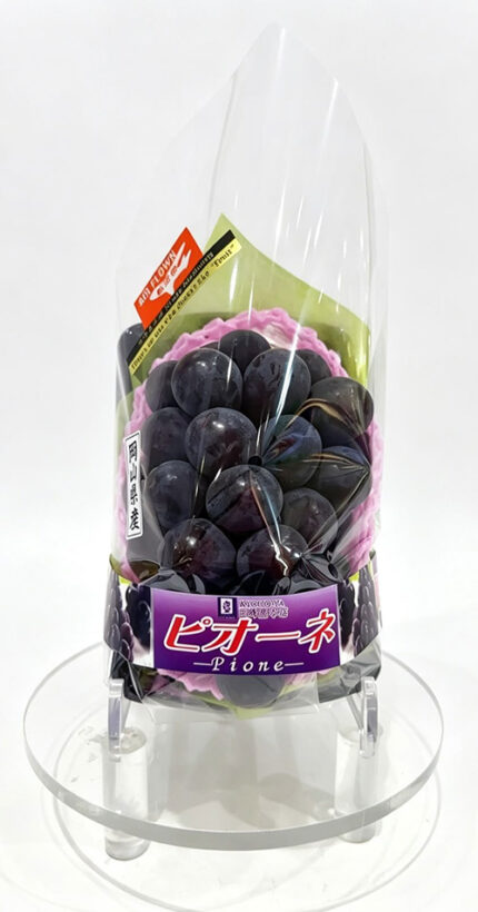 Pione Grapes | Shu Grade | Okayama Prefecture | 620g