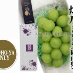 Shine Muscat "Kiramekino" Premium Variety | Okayama Prefecture | 2L Size 620g