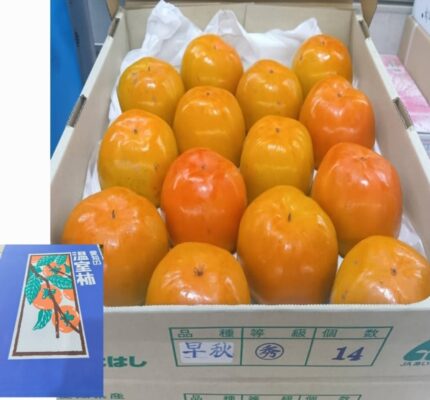 House Grown Persimmon "Soushu Kaki" (Seedless) | Aichi Prefecture | M Size