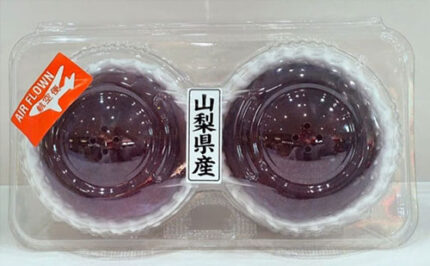 Taiyo Plum | Tokushu Grade | Yamanashi Prefecture | 2 Pcs