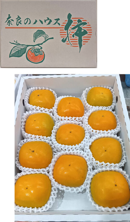 House Early Grown Persimmon | Premium Akashu Grade | Nara Prefecture | L Size