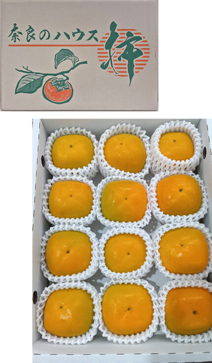 House Early Grown Persimmon | Premium Akashu Grade | Nara Prefecture | M Size