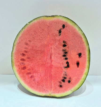 Watermelon - Aichi "Minami" Special Grown | Aichi Prefecture | Half Pc