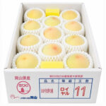 Yume Hakutou (Royal Grade) | Okayama Prefecture | 11 Pcs