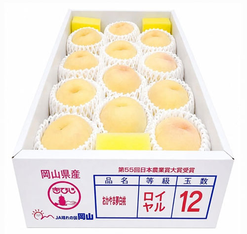 Yume Hakutou (Royal Grade) | Okayama Prefecture | 12 Pcs