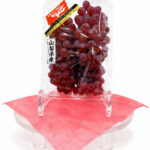Delaware Grapes | Yamagata Prefecture | Shu Grade | 300g