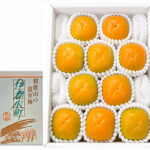 House Grown Tone Kaki (Seedless) | Wakayama Prefecture | 10 Pcs