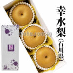Kanazawa Pear "Kousui" | Ishikawa Prefecture | 4L Size 3 Pcs