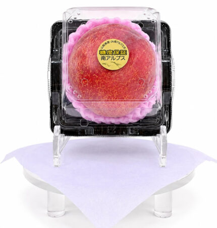 Kouju Plum "World Top Premium Plum" | Yamanashi Prefecture | 1 Pc
