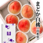 "Matoka" Hakutou | Yamagata Prefecture | 3L Size 6 Pcs