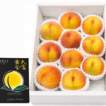 Mutaifu Golden Peach | Yamagata Prefecture | 10 Pcs