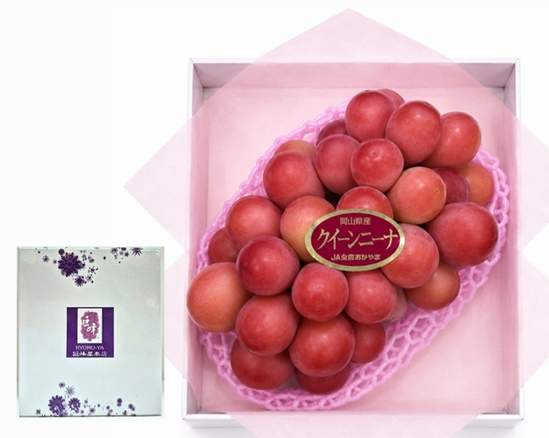 Queen Nina Grapes (Seedless) | Yamanashi Prefecture | Akashu Premium Grade | 710g~830g
